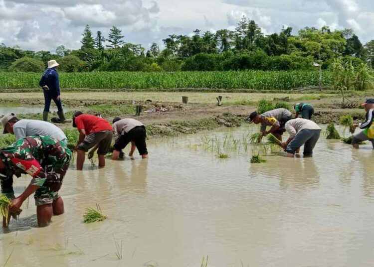 Dukung Program Asta Cita Presiden, Bhabinkamtibmas Polres Keerom Gencarkan Kegiatan Ketahanan Pangan Bersama Masyarakat