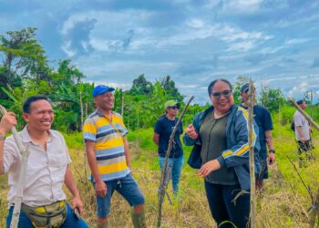 Pemuda Arso 11 Siap Kelola Lahan Pertanian Sayur untuk Dukung Program Makanan Bergizi Gratis