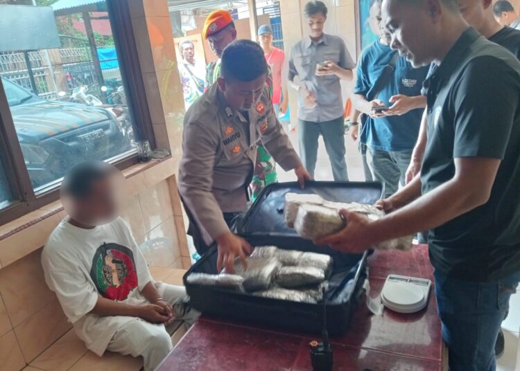 Polres Jayapura Polda Papua Kemballi Amankan Calon Penumpang Bawa 108 Paket Narkotika