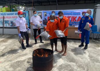 Polda Papua Musnahkan Barang Bukti Narkotika Jenis Ganja