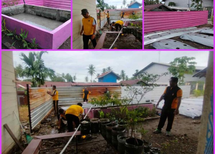 Polsek Nabire Kota Dukung Swasembada Ketahanan Pangan, Gelar Korvei Di Pekarangan P2l Bhayangkari