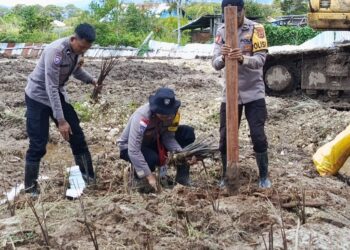 Bhabinkamtibmas Polres Deiyai Polda Papua Tengah Laksanakan Penanaman Bibit Ubi di Lahan Pertanian