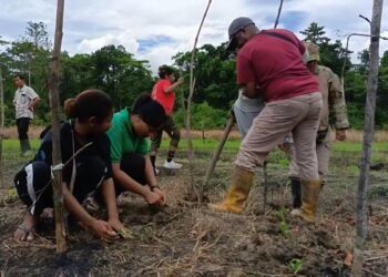 Polda Papua dan PYCH Bimbing Pemuda Arso 11: Dari Lahan Kosong Jadi Sumber Pangan