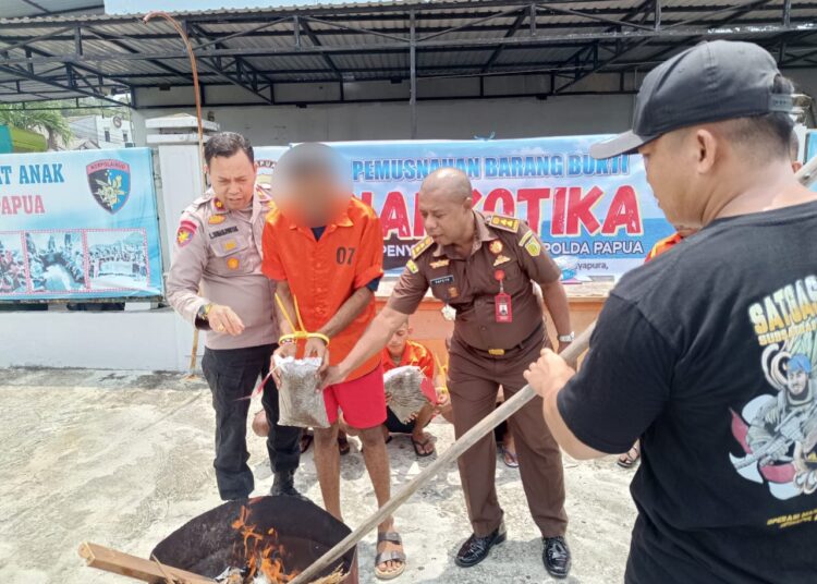Polda Papua Musnahkan Barang Bukti Narkotika Jenis Ganja