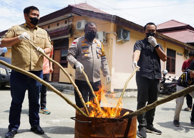 Polres Jayapura Polda Papua Musnahkan Barang Bukti Ganja dan Sabu Hasil Pengungkapan Kasus
