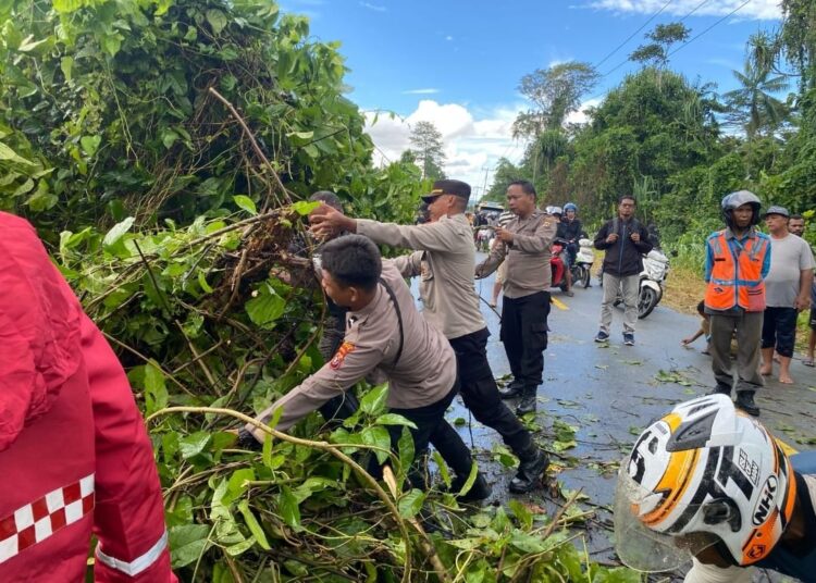 Gerak Cepat, Polres Keerom Polda Papua bersama Masyarakat Evakuasi Pohon Tumbang