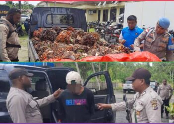Polsek Arso Timur Polda Papua Berhasil Amankan Pelaku Pencurian Buah Sawit