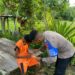Aksi Kemanusiaan Satgas Keladi Sagu Polres Jayapura di Kampung Waibron