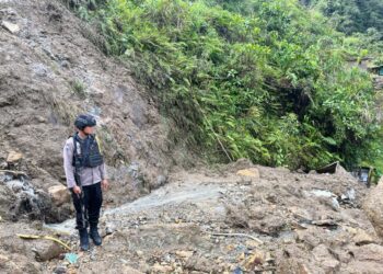 Tanah Longsor Terjang Kampung Kimbeli, Satu Luka dan Sembilan Rumah Rusak
