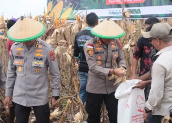 Sinergi Polri Dan Petani Lokal Dukung Ketahanan Pangan Nasional