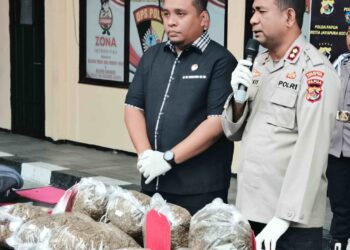 Tiga Tersangka yang Diamankan Karena Bawa Ganja 7,5 Kg, Seorang Diantaranya Adalah WNA Asal PN