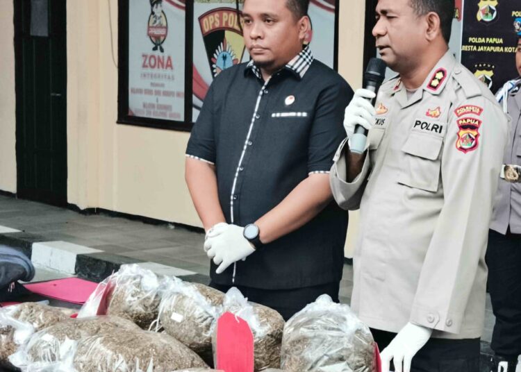 Tiga Tersangka yang Diamankan Karena Bawa Ganja 7,5 Kg, Seorang Diantaranya Adalah WNA Asal PN