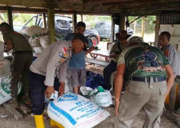 Irwasda Polda Papua Tinjau Pembelian Jagung di Distrik Muara Tami