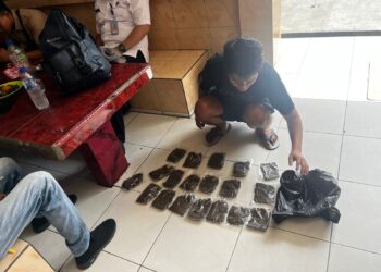 Bawa Ganja, Calon Penumpang Tujuan Wamena Diamankan Polres Jayapura