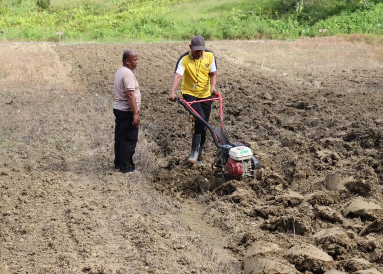 Sat Binmas Polres Sarmi Polda Papua Siapkan Lahan Ketahanan Pangan Guna Persiapan Penanaman Jagung