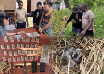 Polsek Demta Polda Papua Berhasil Tangkap 2 Pelaku Pengedar Narkotika Jenis Ganja