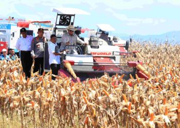 Presiden Prabowo Bahagia Bisa Panen Raya Jagung Bersama Polri