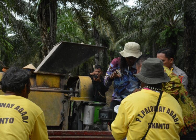 Melalui Virtual Zoom, Polda Papua Ikuti Panen Raya Jagung Secara Serentak Kuartal II Tahun 2025 di Keerom