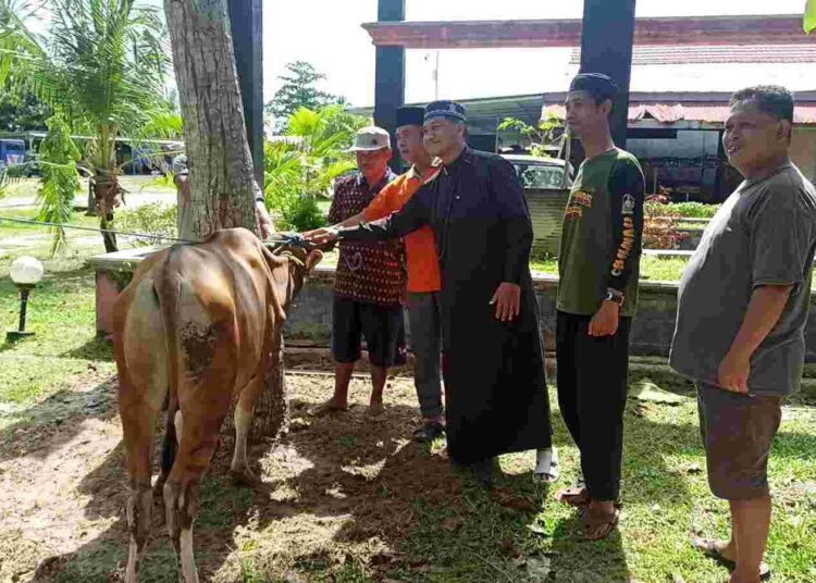 Maknai Iduladha 1446 H, Kapolda Kalteng Sumbang Seekor Sapi untuk Kurban PWI
