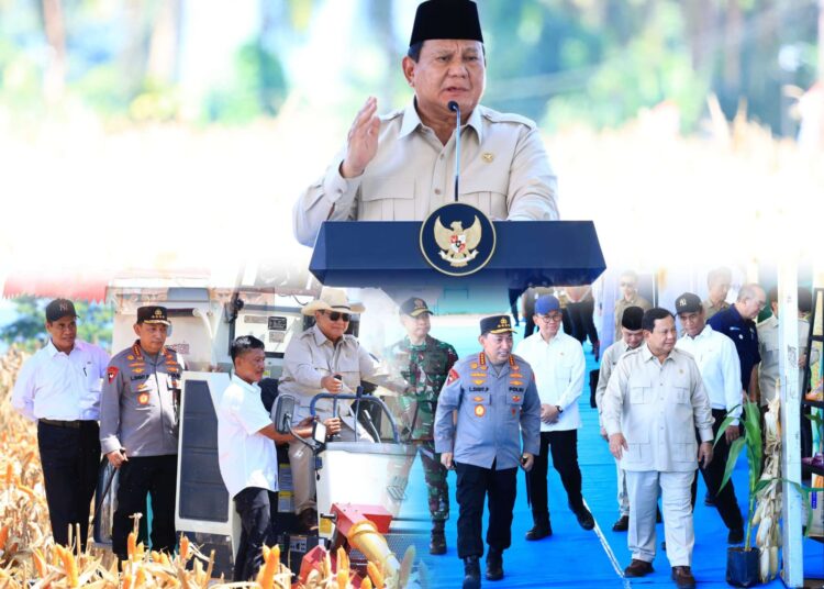 Presiden Prabowo Senang Panen Raya Jagung Inisiasi Polri Berhasil