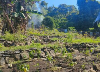 Polsek Lokas Kembangkan Ketahanan Pangan Melalui Program Pekarangan Pangan Lestari (P2L)