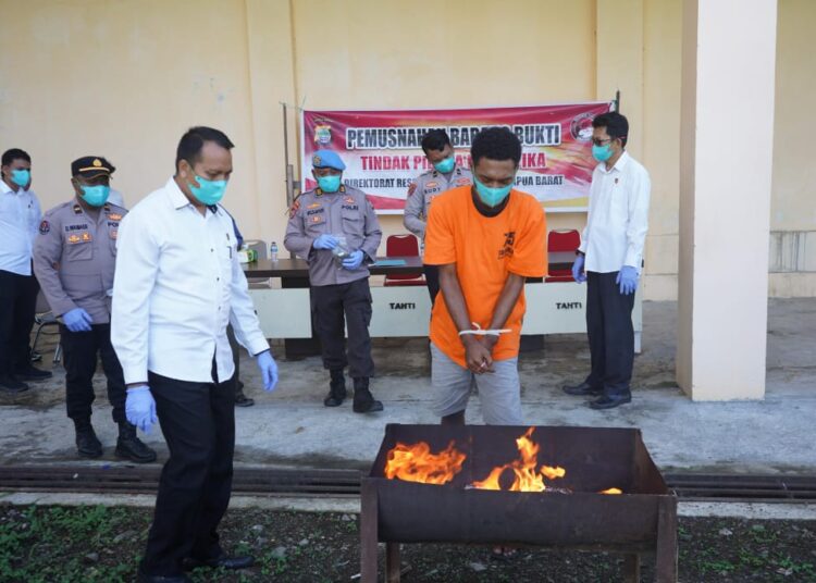 Polda Papua Barat Musnahkan Barang Bukti Ganja dengan Berat 112,4 gram