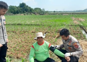 Bripda Iqbal dan Kisah Pengabdian di Ladang