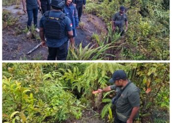Ibu Rumah Tangga Tewas Dianiaya OTK di Mamberamo Tengah, Diduga Upaya Pemerkosaan