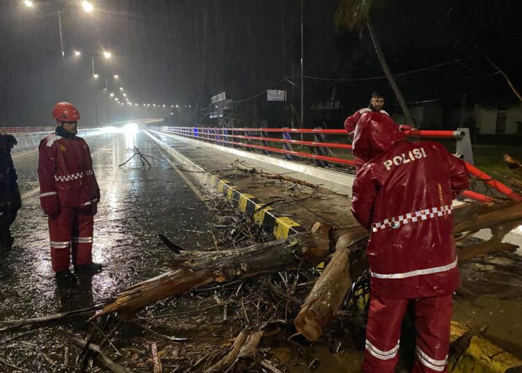 Personel Unit SAR Dit Samapta Polda Papua Lakukan Pembersihan Pohon Tumbang di Jembatan Merah