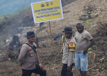 Peduli Asta Cita Pangan, Kapolres Tolikara Survei Langsung Lahan Penanaman Bibit Jagung