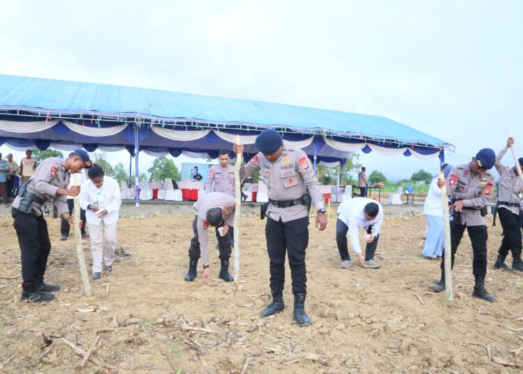Polda Papua Barat Laksanakan Kegiatan Penanaman Jagung Serentak di Kampung Macuan