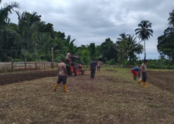 Wujud Nyata Kepedulian, Polsek Pantai Timur Perluas Kebun Ketahanan Pangan