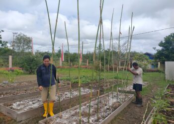 Polsek Elikobel Laksanakan Program Ketahanan Pangan di Pekarangan Bergizi