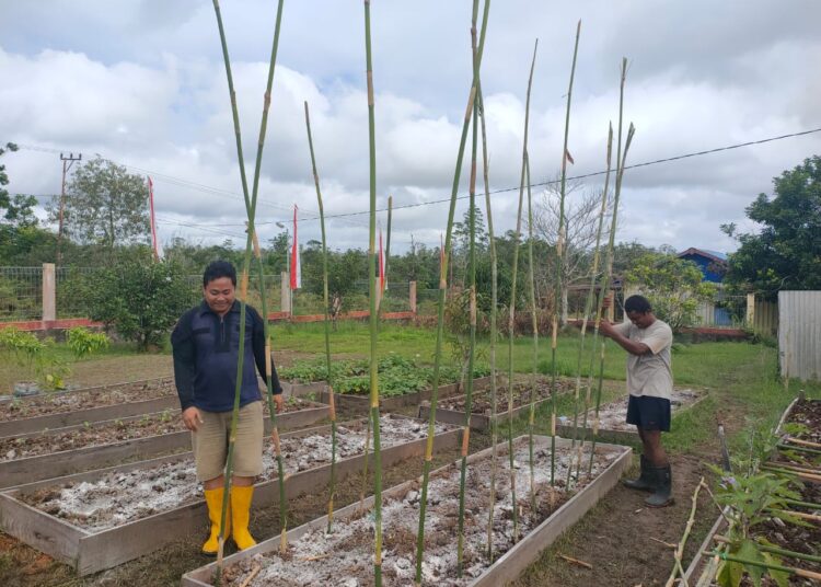 Polsek Elikobel Laksanakan Program Ketahanan Pangan di Pekarangan Bergizi