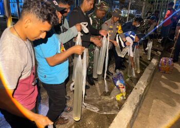 Polsek KPL Merauke Amankan 80 Liter Miras Jenis Sopi dengan Modus Baru di KM Tatamalau