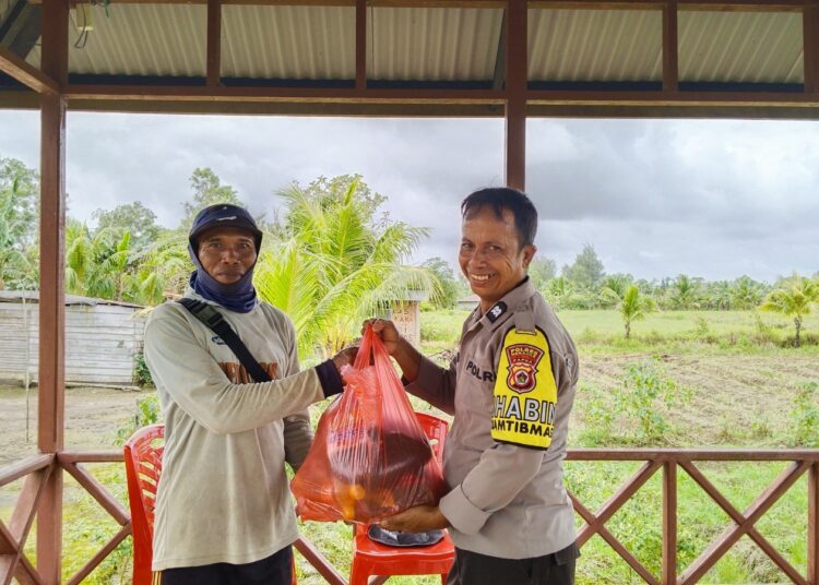 Bukan Hanya Jaga Keamanan, Polsek KPL Merauke Panen Jagung Manis dari Lahan P2L