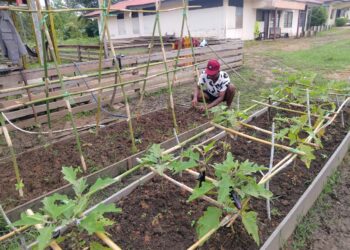 Polsek Elikobel Wujudkan Ketahanan Pangan Lewat Program Pekarangan Bergizi
