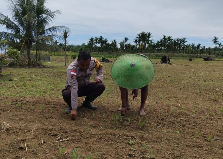 Bhabinkamtibmas Kampung Yetty Dukung Ketahanan Pangan Lewat Monitoring Lahan Pertanian Warga