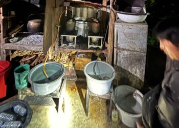 Satresnarkoba Polresta Manokwari Polda Papua Barat Ungkap Produksi dan Peredaran Miras Lokal Ilegal Yang Meresahkan Masyarakat