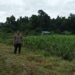 Kapolres Manokwari Selatan dan PJU Cek Lokasi Lahan Jagung, Pantau Potensi Pertanian