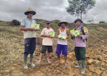 Polres Teluk Bintuni Dukung Program Swasembada Pangan Nasional dengan Bantuan Bibit Jagung