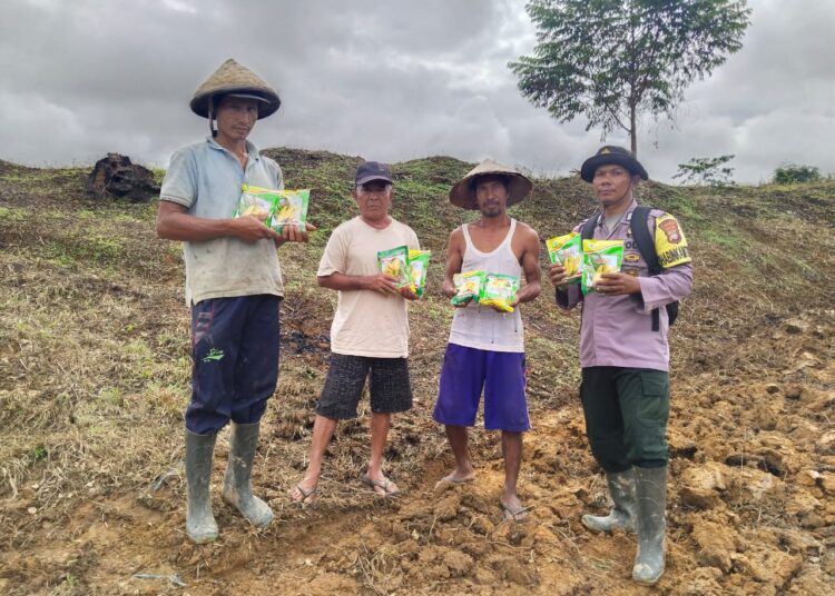 Polres Teluk Bintuni Dukung Program Swasembada Pangan Nasional dengan Bantuan Bibit Jagung