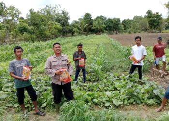 Bhabinkamtibmas Bersama Kelompok Tani Tunas Harapan Mulai Tanam Jagung di Kampung Vascodamnem