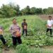 Bhabinkamtibmas Bersama Kelompok Tani Tunas Harapan Mulai Tanam Jagung di Kampung Vascodamnem