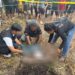 Polres Sarmi Lakukan Olah TKP Penemuan Jasad Bayi di Kampung Vietnam, Lembah Neidam