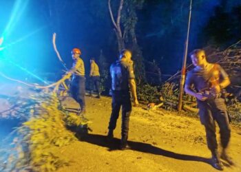 Sinergi Polri dan Masyarakat Bersihkan Pohon Tumbang di Belakang RS Bhayangkara