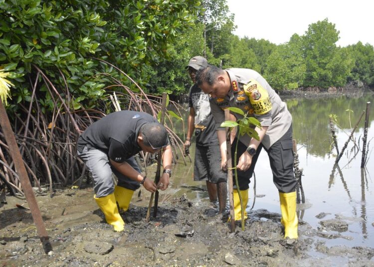 RRI Jayapura dan Polda Papua Tanam Mangrove Sambut Hari Bakti ke-80