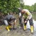 RRI Jayapura dan Polda Papua Tanam Mangrove Sambut Hari Bakti ke-80