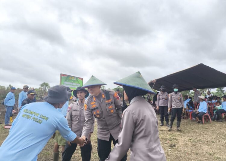 Dukung Ketahanan Pangan, Kapolres Merauke Pimpin Penanaman Jagung 3 Hektare
