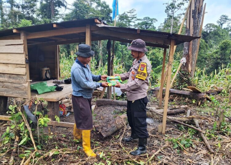 Dekat dengan Petani, Bhabinkamtibmas Kaimana Bantu Bibit Jagung Manis FI Paragon untuk Lahan 1 Hektar